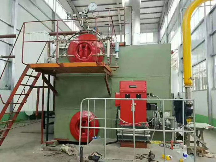 蒸汽SZS燃?xì)忮仩t